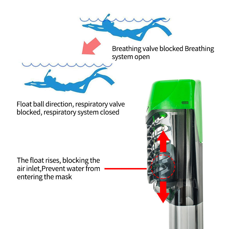 Wave Diving Mask Anti Fog Full Face Snorkel Mask Dry Top System 180 Degree Panoramic View